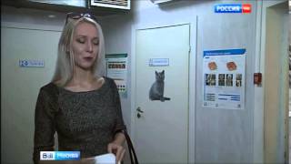 Мошенники от ветеринарии Мошенники от ветеринарии