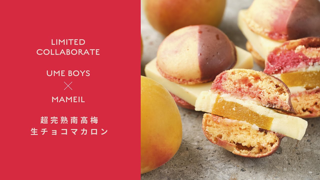 数量限定” - Chocolate / Pistachio / Creme brulee -（3個入