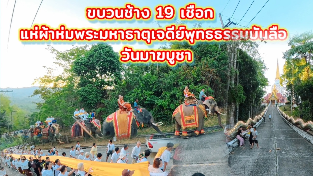 ขบวนช้าง 19 เชือก แห่ผ้าห่มพระมหาธาตุเจดีย์พุทธธรรมบันลือ วันมาฆบูชา