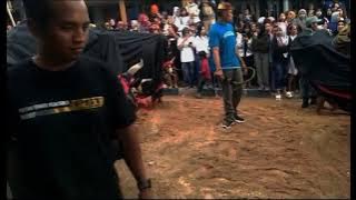 Download lagu DJ BANTENGAN📍SIA SIA MENGHARAP CINTAMU. suport alap-alap tengger by  @PETROK96