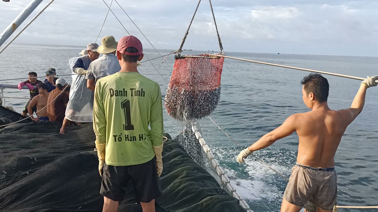 Tàu Lưới Rút #LộcNhất Đánh Được Mẻ Cá Siêu Kinh Khủng