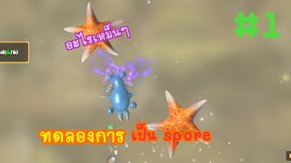 war of evolution : ทดลองการเป็น spore #1