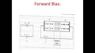 PN diode to students