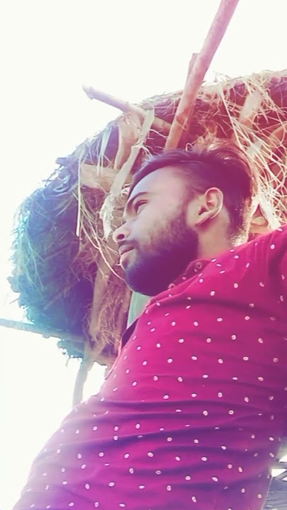 ||गलियां मिली है मंजिल नहीं मिलती वफा अगर|| galiya milee hai manjil nhi sad satatus