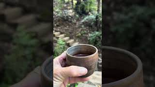 Cacao in the Forest: Guided Practice