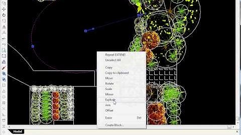 Trimming an ellipse entity in a landscape CAD drawing