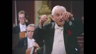 Mozart: Symphony No. 25 in G minor K.183 (Allegro) | Vienna Philharmonic - Leonard Bernstein