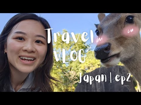 Travel Vlog | Japan ep 2 | 奈良的鹿一点都不温顺😓