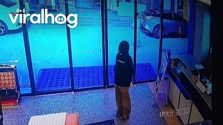 Night Shift Worker Befriends Stray Dog Viralhog