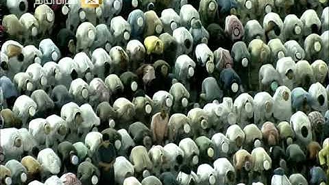 صلاة العشاء الاثنين 21-3-1441هـ الشيخ بندر بليلة - أوائل سورة المؤمنون