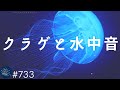 【睡眠用BGM・水中音】クラゲの映像で癒されながら眠る２時間　寝落ちに誘う音楽と自然音　ストレス軽減・疲労回復に#733｜デルタ波による睡眠導入効果｜SilentSpaceTV