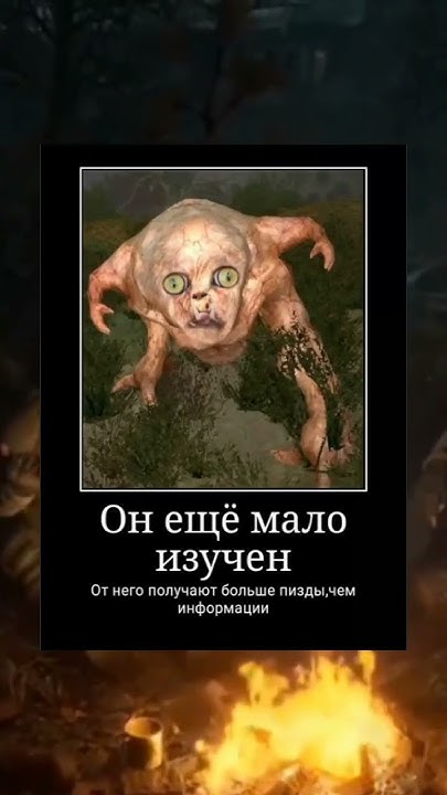 #stalker_mem #сталкер #stalker #stalker2 #сталкер2 - YouTube