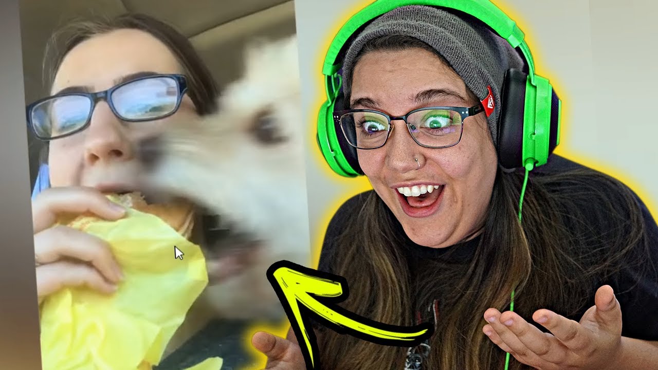 OS PIORES ANIMAIS DO MUNDO!