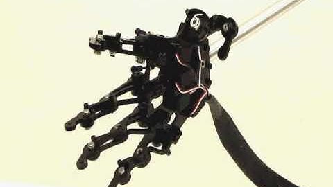 Animatronic Robotic Hand Limited Edition