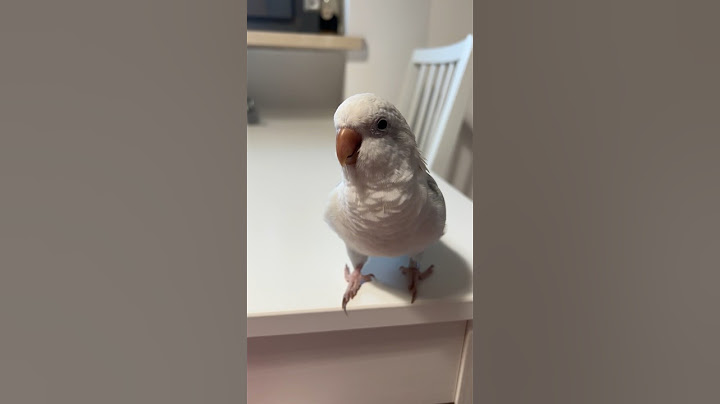 SKY È BRRRAVO 😂💙