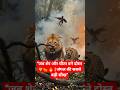 शेर 🐯 और चीता 🐆#shortvideo#shere #viral #youtubeshorts #shortsfeed #shortsfeed #animals #shortsviral
