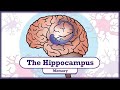 Memory and the hippocampus