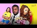 To love or not to love  benita onyiuke daniel lloyd ekene umenwa trending nigerian movie