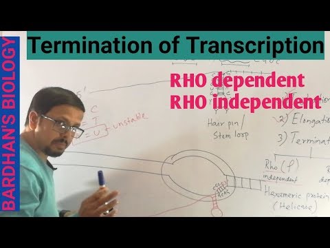 वीडियो: Rho आश्रित और स्वतंत्र समाप्ति में क्या अंतर है?