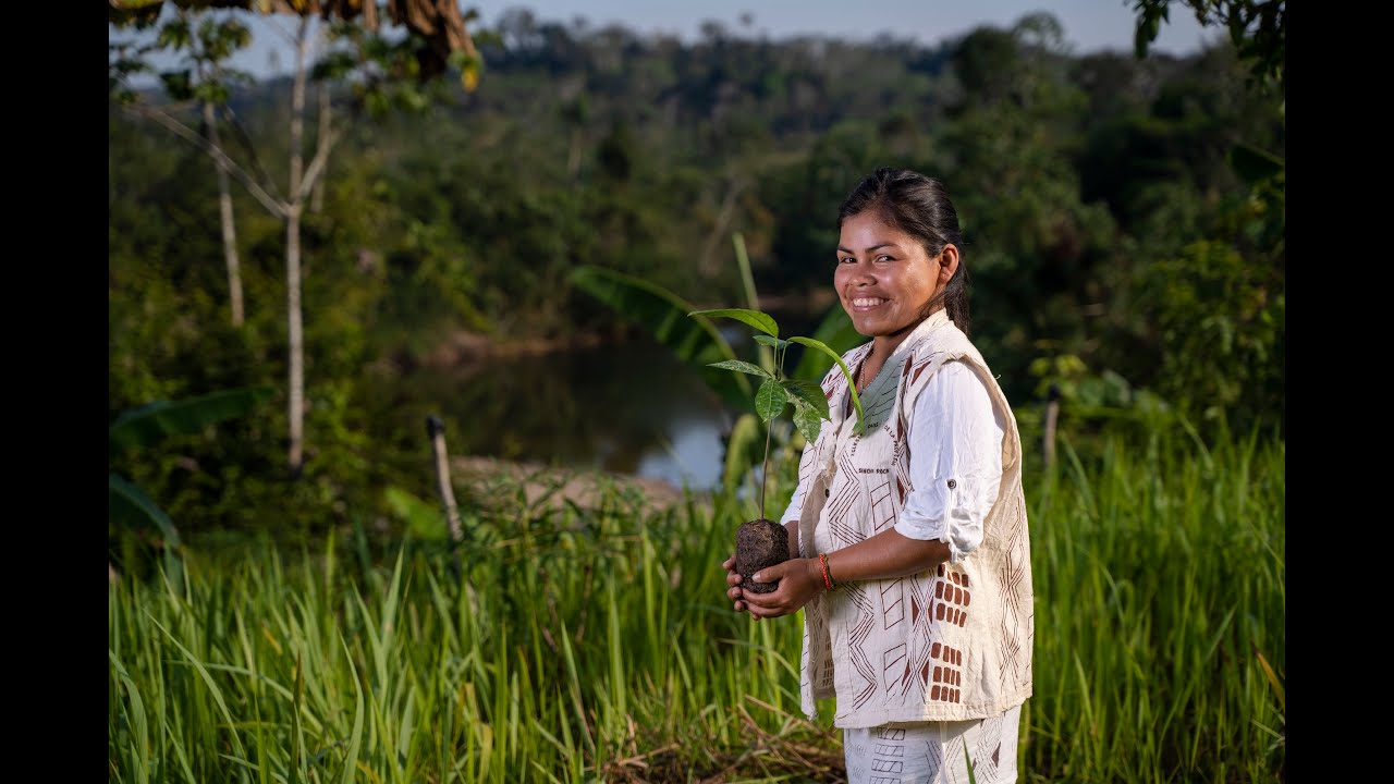Manejo de Bosques Comunales