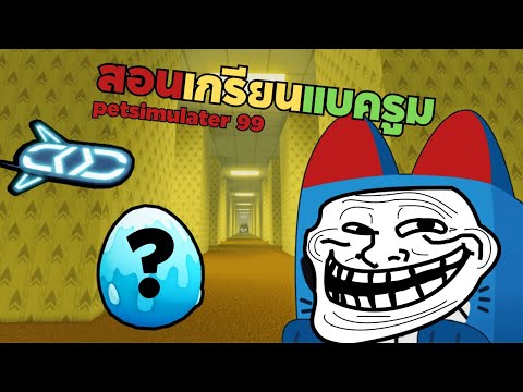 Petsimulater99 Backroom Bug : สอนใช้โฮเวอร์บอร์ดในเเบครูม!!!!!!!#roblox #petsimulater99 #backrooms