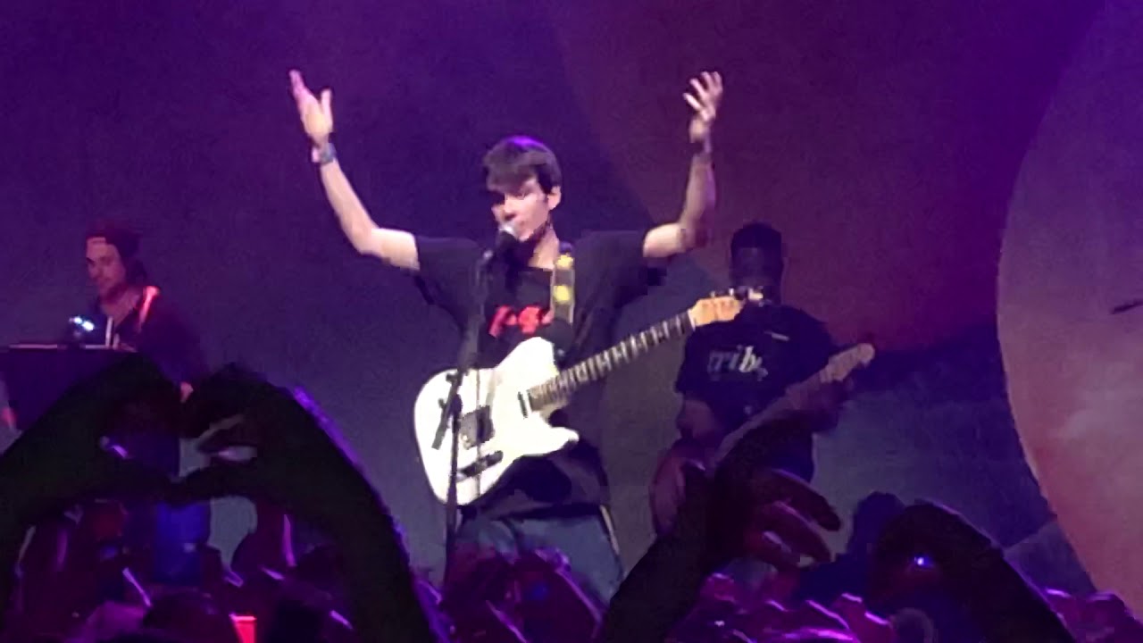 Rex Orange Country - Sunflower