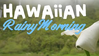 Rainy Hawaiian Morning: Cozy Slack Key Guitar & Gentle Rain (Focus & Work)