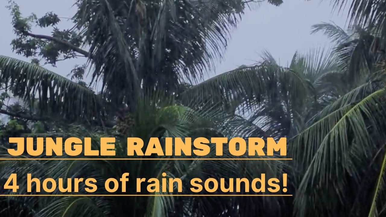 Tropical Rainforest Rain Sounds for Sleeping or Studying ⛈️ White Noise 4 Hours Jungle