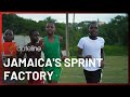 Fastest in the world inside a sprint school in jamaica chasing olympic gold  sbs dateline