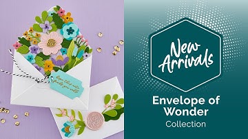 Envelope of Wonder Collection