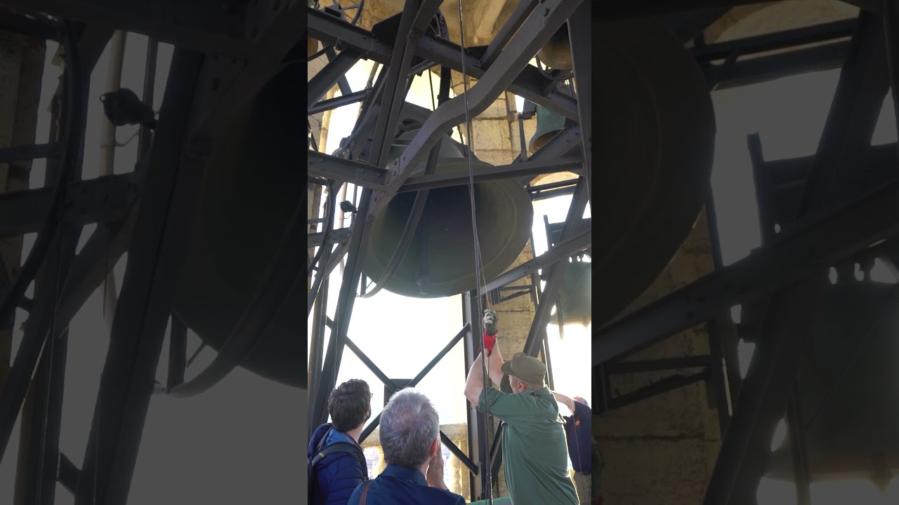 Guarda I 2 campanoni del Duomo #verona #campane #bellringing #glocken #church #italy #music #shorts #viral su YouTube Guarda I 2 campanoni del Duomo #verona #campane #bellringing #glocken #church #italy #music #shorts #viral su YouTube