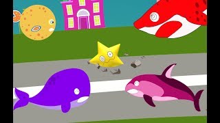 Baby Shark, Mother Shark And Twinkle Little Star | Super Narwhal Help The Sharks | Song For Kids