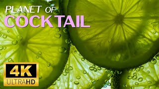 Download Lagu Cocktail Satisfying Video in 4K Ultra HD | Relaxing Music | Dolby Vision™ 60 FPS HDR MP3