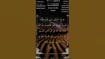 وإذ استسقى موسى لقومه فقلنا اضرب بعصاك الحجر - سورة_البقرة - الشيخ_بدر_التركي #أحمد_طالب