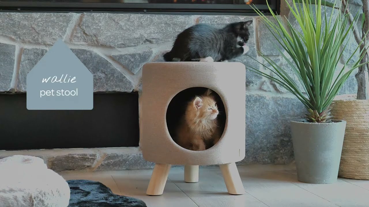 Wallie Pet Stool
