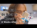 Why Did I Go Back To Korea? (after 2 weeks) | Kristel Fulgar