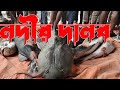 River Monster ( Discovery Bangla) - Full HD in Lalgola #fishing #fish