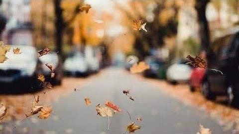 سورة الكافرون بصوت جميل