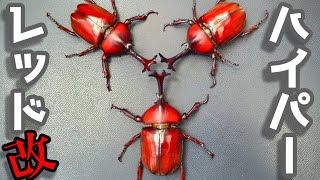 GIANT S-R4 【ロシアの赤いバラ】 ピックアップ ワスプスラローム80Sクリアモデル 80mm/16.5g