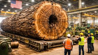 Inside the Largest Wood Sawmill Factory – How Plywood Is Made From Logs to Table (Full Process)
