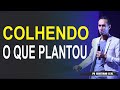 COLHENDO O QUE PLANTOU