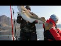 Рыбалка в Норвегии 2019 Апрель Остров Сения