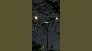 Lagu  kau sahabat karibku❤️‍🔥🫂