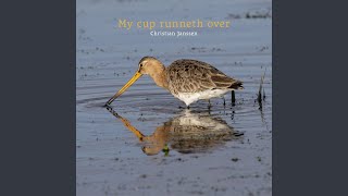 My cup runneth over