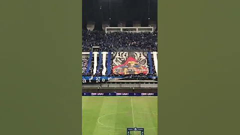 KOREO PERSIB BANDUNG VS PERSIJA JAKARTA #persibbandung #persib #bobotoh