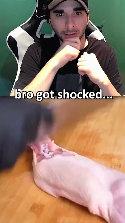 The Most WHOLESOME TikTok...