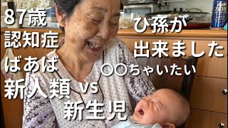 【食人】87歳認知症ばあばと33歳こどおじ(孫)二人暮らし【ラグドール】【ハゴロモセキセイインコ】