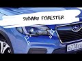 Приключения лесника или один день из жизни Subaru Forester