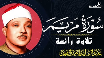 استمع لسورة مريم وكأنك تسمعها لأول مرة 🕊️🌿 #قرآن كريم #سورة مريم