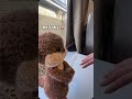 For you🤲 #shortsfeed #crochet #shorts #funny #amigurumi #handmade #cute #fyp #plushies #amigurumi